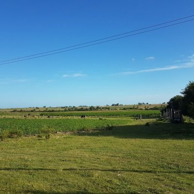 Campo próximo a Tala
